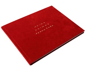 須藤絢乃「Anima / Animus」スペシャルボックス(限定10部)